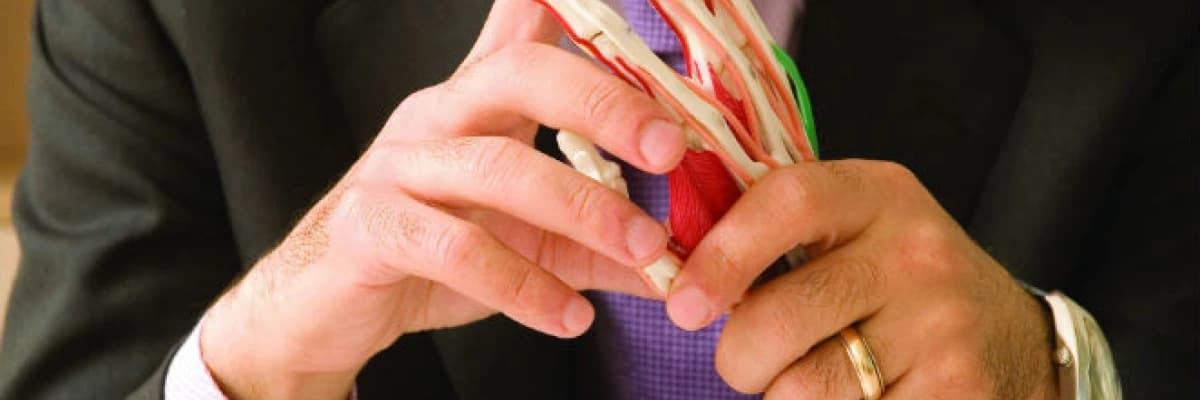 El cerrahisi ve mikrocerrahi