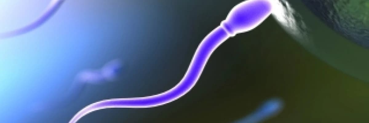 Sebebi bilinmeyen ya da izah edilemeyen kısırlığın tedavisi, tüp bebek ve aşılama öncesi tedaviler