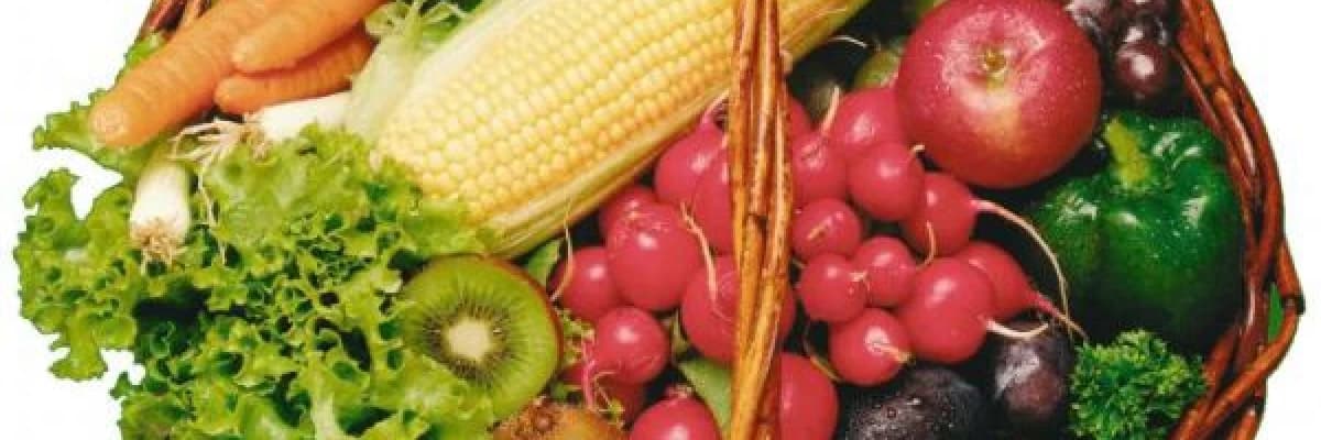 ADOLESANLARIN (ERGENLERİN) BESİN SEÇİMLERİ ve VEJETARYENİZME YÖNELİŞ