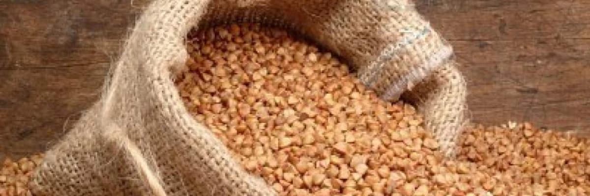 KARABUĞDAYIN (GREÇKA)FAYDALARI