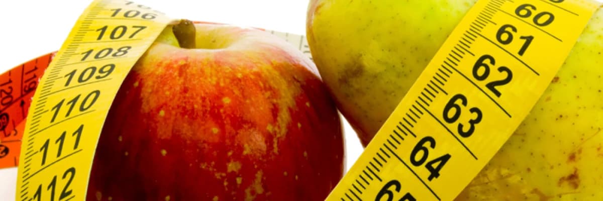 Metabolizma Gerçekleri