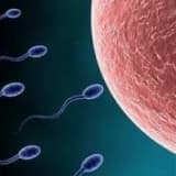 Mini Tüp Bebek Nedir ?