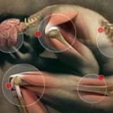 Romatizma, romatoloji, romatizmal hastalıklar