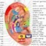 Akupunkturun Etki Mekanizmaları