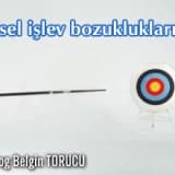 Cinsel işlev bozuklukları