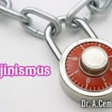 Kendini doğrulayan kehanet olarak vajinismus