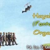 Hayalet (fantom) orgazm