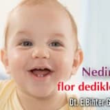 İn midir cin midir ? Nedir bu flor dedikleri ?