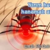 Kırım kongo kanamalı ateşi