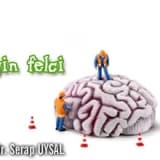 Serebral palsi-beyin felci