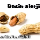 Besin alerjisi ve alerjiye neden olan besinler