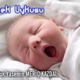 Bebek uykusu