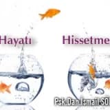 Hayatı hissetmek........