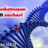 Vücudumuzun gizli cevheri