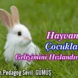 Hayvanlar Çocukların Gelişimini Hızlandırıyor...