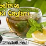Gebelikte bitki çayları