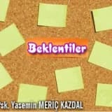 Beklentiler
