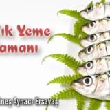 Balık yeme zamanı