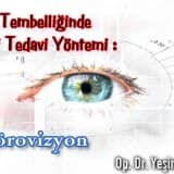 Göz tembelliğinde yeni tedavi yöntemi : nörovizyon