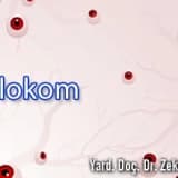 Glokom ve görülme sıklığı