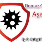 Domuz gribi aşısı