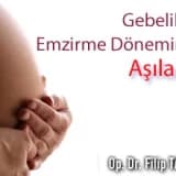 Gebelik ve emzirme döneminde aşılar