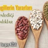Baklagillerin yararları ve önlediği hastalıklar