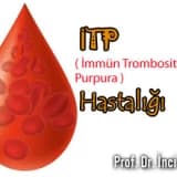İTP İmmün Trombositopenik Purpura Hastalığı