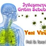 İyileşmeyen Gribin Sebebi ;  Yeni Virüs