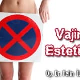 Vajina Estetiği ( Vajinoplasti )