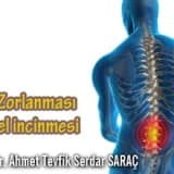 Bel Zorlanması ve Bel İncinmesi