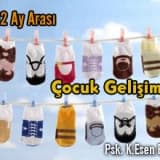 06-12 AY ARASI ÇOCUK GELİŞİMİ