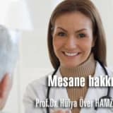 Mesane hakkında merak ettikleriniz.
