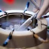 Embriyo&Blastokist Dondurma