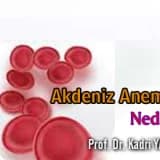 AKDENİZ ANEMİSİ NEDİR