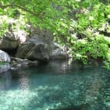 Uzm. Dr. Zehra  Baltacı Profil Fotoğrafı