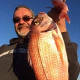 Dt. İrfan Öner Profil Fotoğrafı