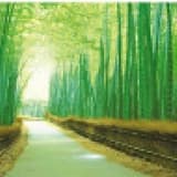 Dr. Öğr. Üyesi Özlem Gürsoy Profil Fotoğrafı