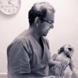 Op. Dr. Filip Taşhan Profil Fotoğrafı