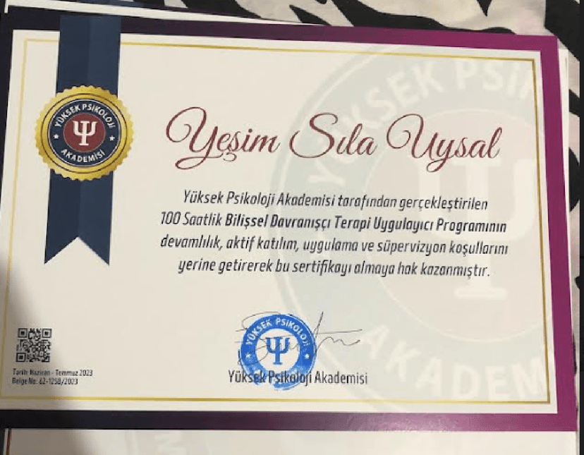Bilişsel Davranışçı Terapi Uygulayıcı Programı