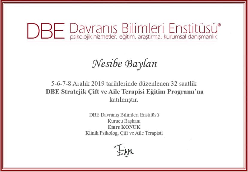 DBE- Stratejik Çift ve Aile Terapisi