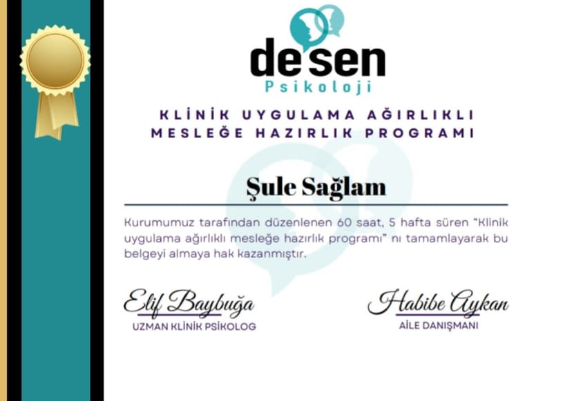 Klinik Uygulama Ağırlıklı Mesleğe Hazırlık Programı