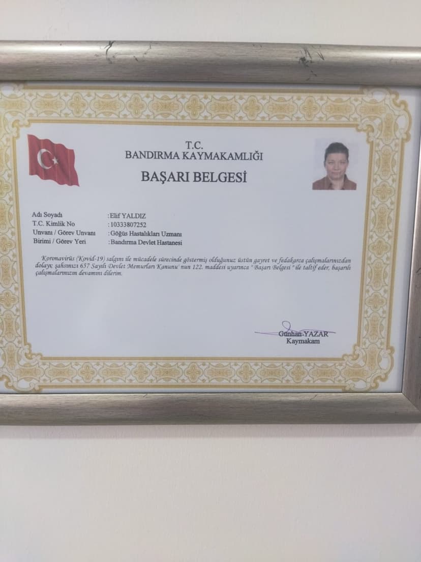 COVİD-19 MÜCADELESİNDE BAŞARI BELGESİ 2021