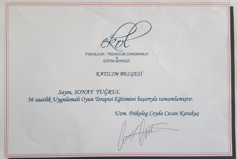 Ekol Danışmanlık-Oyun Terapisi-2008