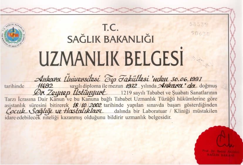 Uzmanlık Belgesi