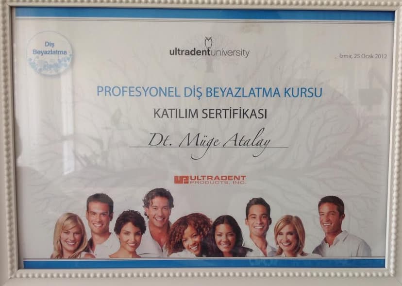 Profesyonel Diş Beyazlatma Kursu