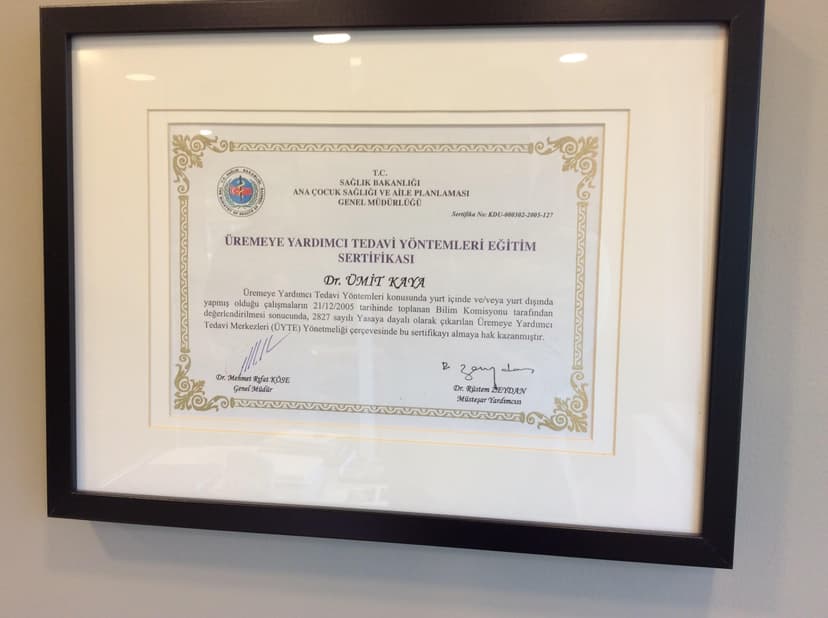 Üremeye Yardımcı Tedavi Yöntemleri Sertifikası
