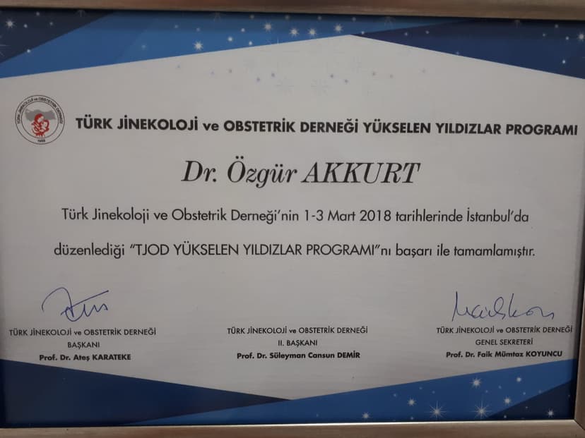 TJOD yükselen yıldız programı