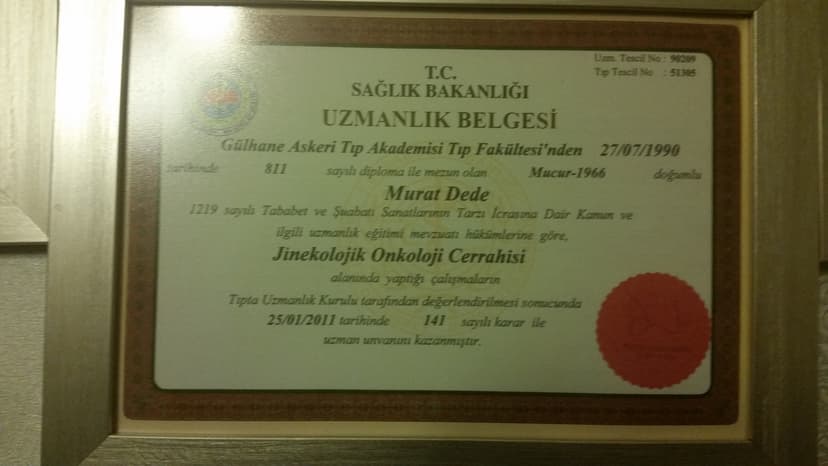 Uzmanlık Belgesi