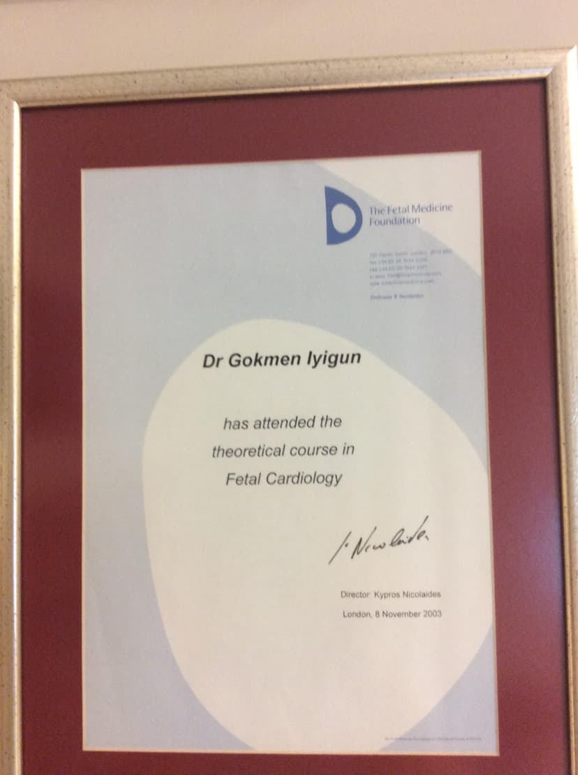 Fetal Cardiology